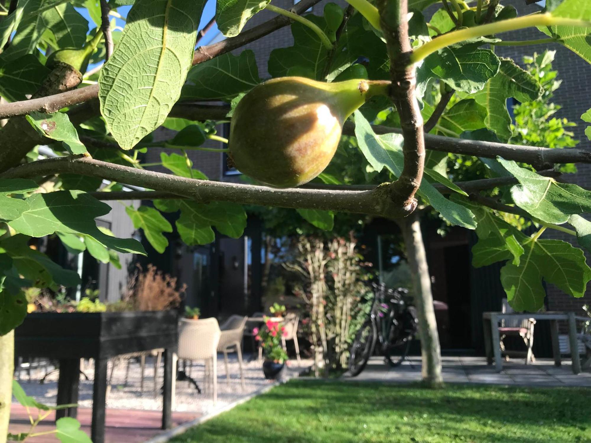 B&B De Pastorie Bij Dokkum Reitsum Zewnętrze zdjęcie